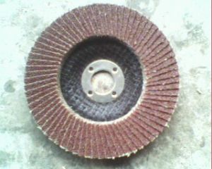 72(y)~݆